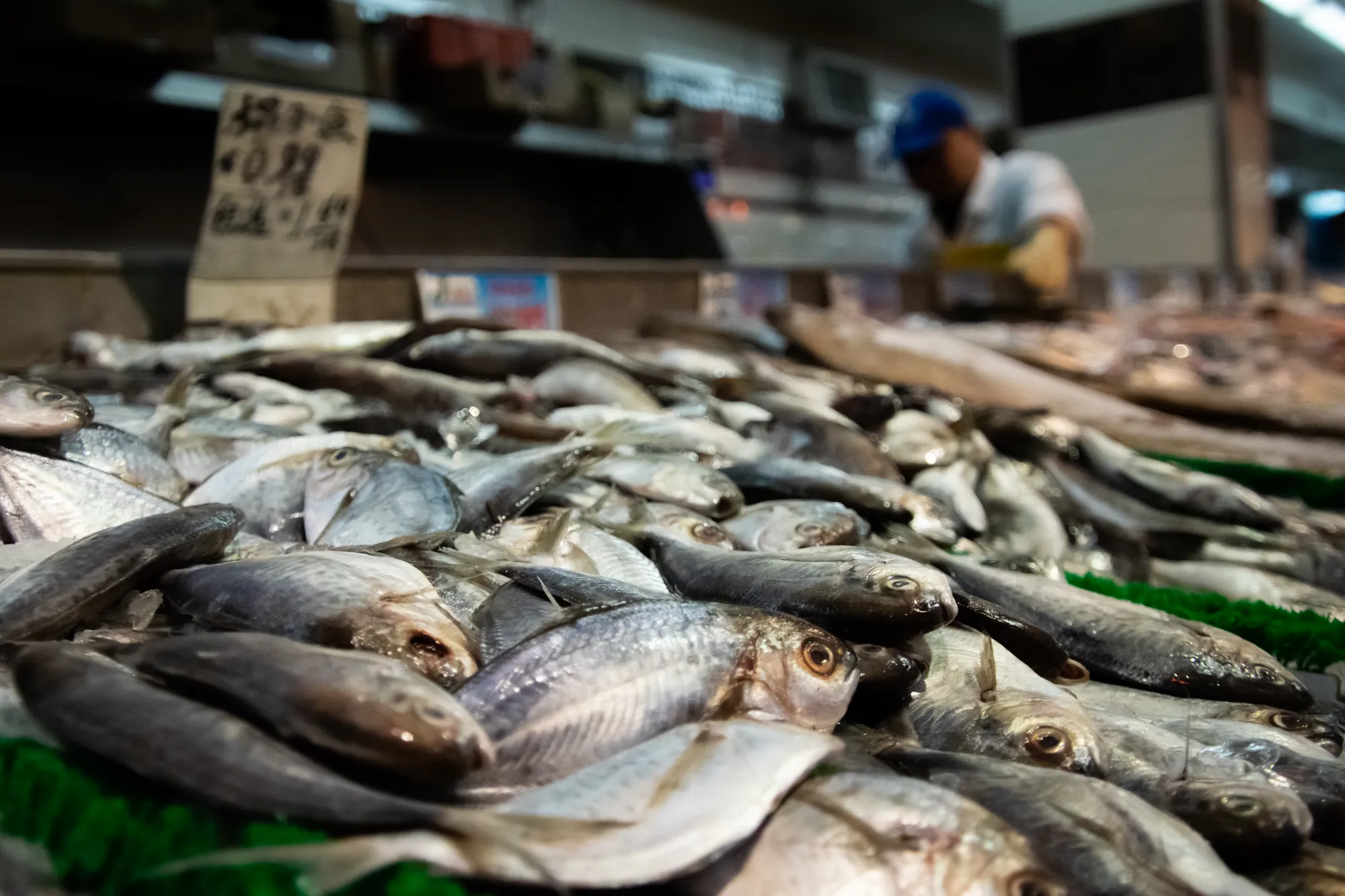 Fish market, Flushing, New York. 2018.